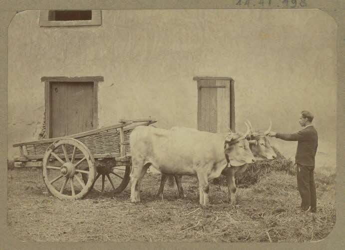 Anonyme photographie Album n°5 du Musée d'ethnographie du Trocadéro Aquitaine, France 1875-1899 Ph.1944.41.498 Photo
