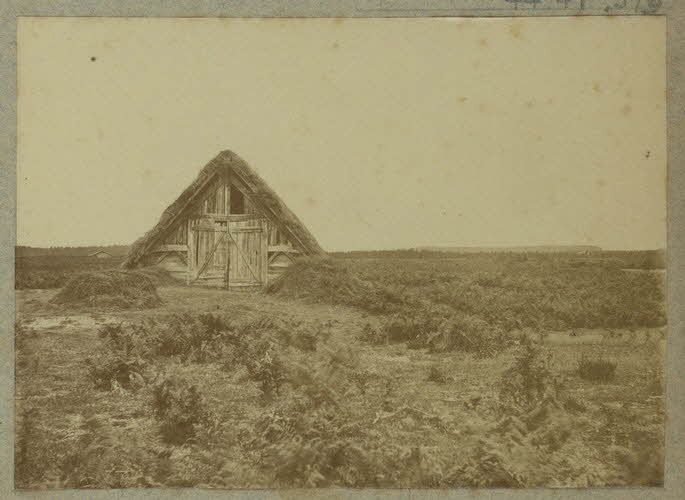 Anonyme photographie Album n°5 du Musée d'ethnographie du Trocadéro Aquitaine, France 1875-1899 Ph.1944.41.579 Photo