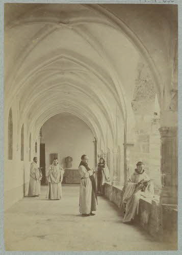 Georges Brun photographie Album n°6 du Musée d'ethnographie du Trocadéro Rhône-Alpes, France 1875-1899 Ph.1944.41.635 Photo