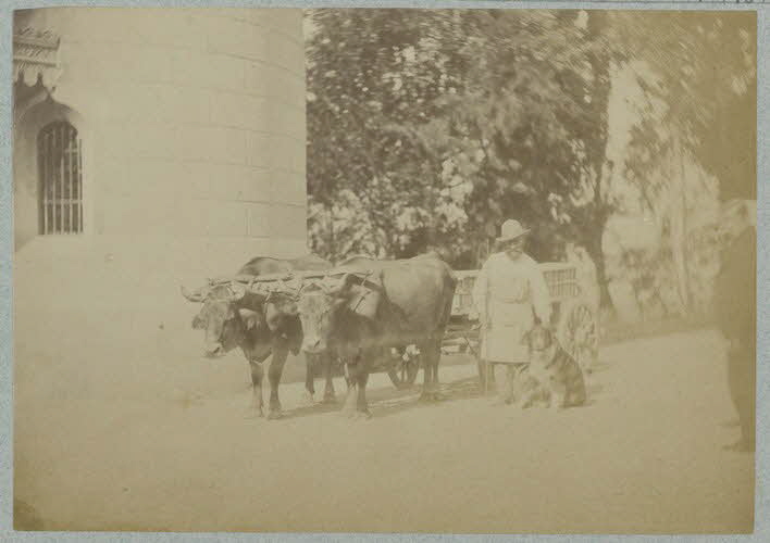 Georges Brun photographie Album n°6 du Musée d'ethnographie du Trocadéro Rhône-Alpes, France 1875-1899 Ph.1944.41.642 Photo