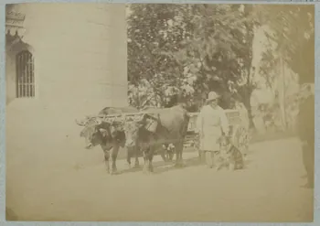 Georges Brun photographie Album n°6 du Musée d'ethnographie du Trocadéro Rhône-Alpes, France 1875-1899 Ph.1944.41.642 Photo