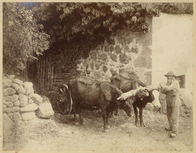 Alfred Gendraud photographie Album n°1 du Musée d'ethnographie du Trocadéro Auvergne, France 1875-1899 Ph.1944.41.7 Photo