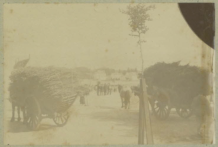 Anonyme photographie Album n°6 du Musée d'ethnographie du Trocadéro Bretagne, France 1875-1899 Ph.1944.41.703 Photo