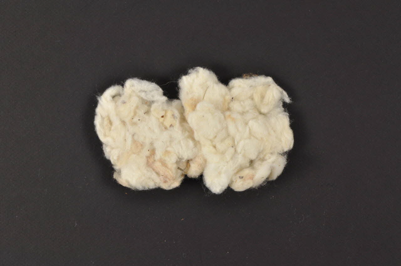 COTON DMH1970.88.6 Photo Mucem