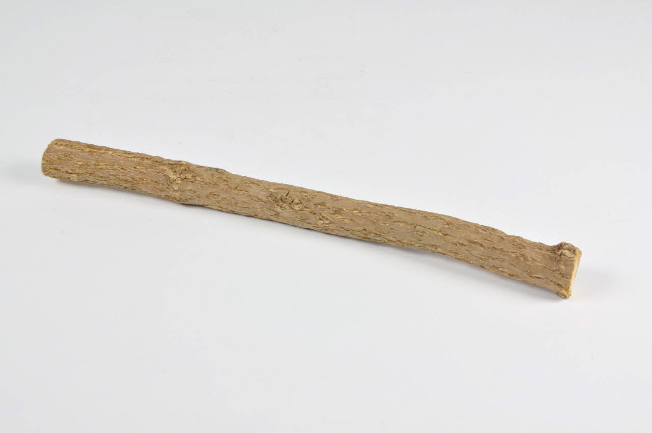 François Charbonneau BRANCHES Montpertuis-par-Domigny(Orne) 1970 1971.44.90 Photo Mucem