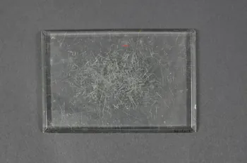 plaque 1971.53.54 Photo Mucem