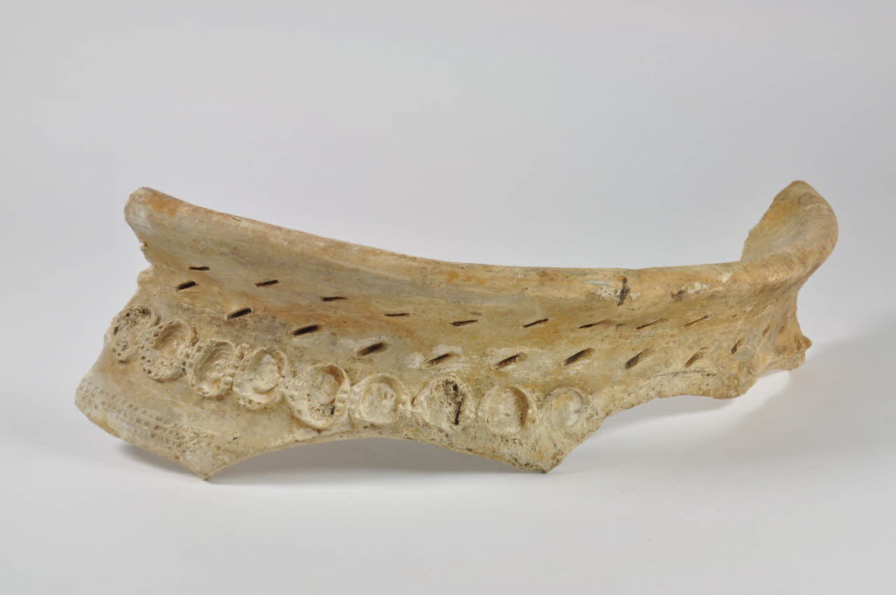 saloir 1973.110.387 Photo Mucem