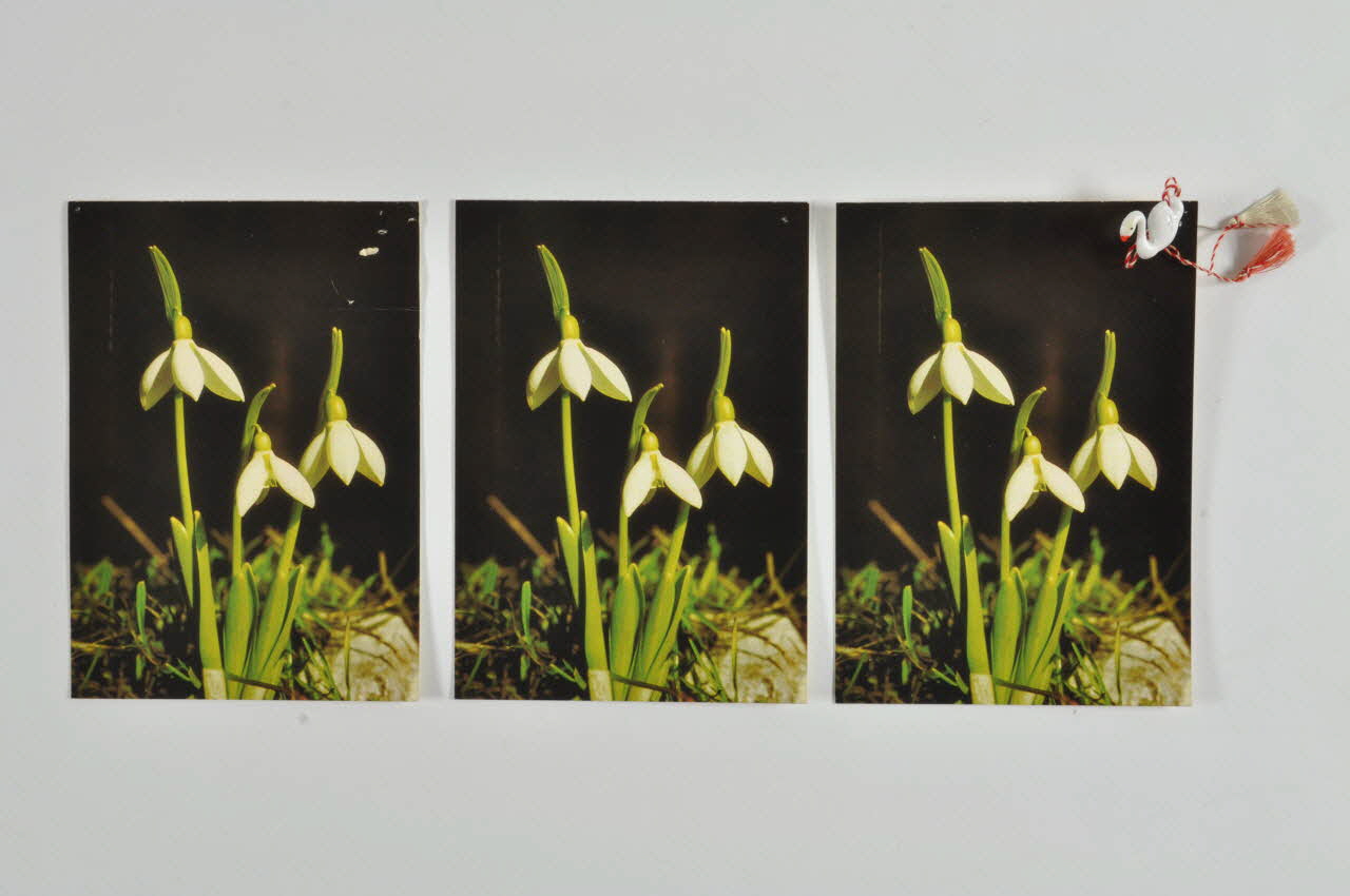 Inconnu carte postale 1900-2000 DMH1971.23.66.1-4 Photo Mucem