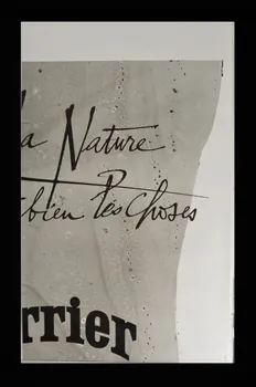 Pierre-Yves Tremois ; Lalande-Courbet affiche 1973/1/30 1973.40.152.7 Photo Mucem