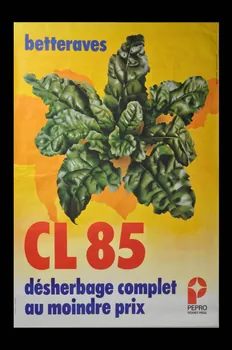 Imprimerie Rhodanienne ; Pittotyp affiche 1973/1/16 1973.40.95 Photo Mucem
