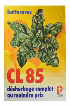 Imprimerie Rhodanienne ; Pittotyp affiche 1973/1/16 1973.40.96 Photo Mucem