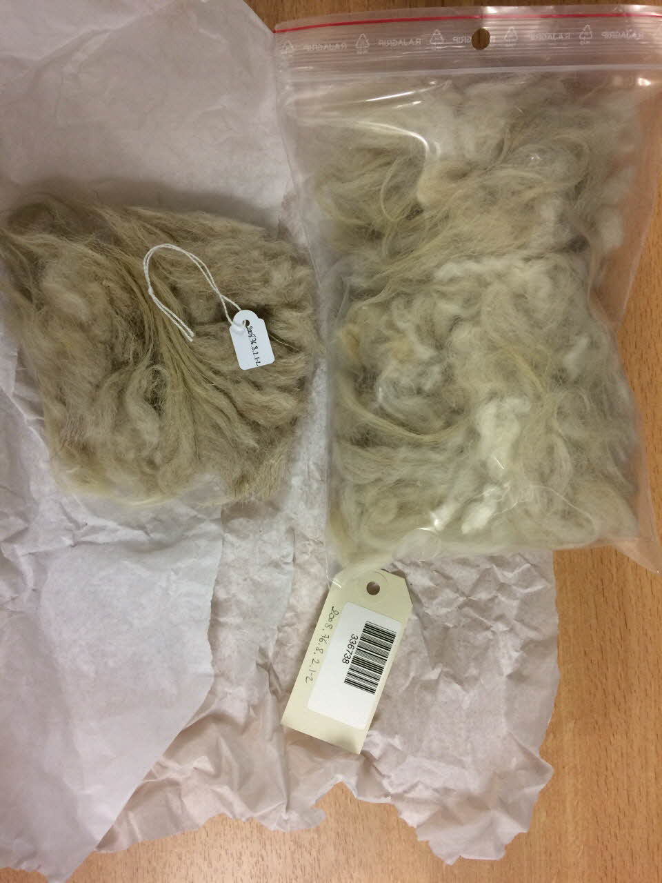 PEAU DE MOUTON 2008.76.8.2 Photo