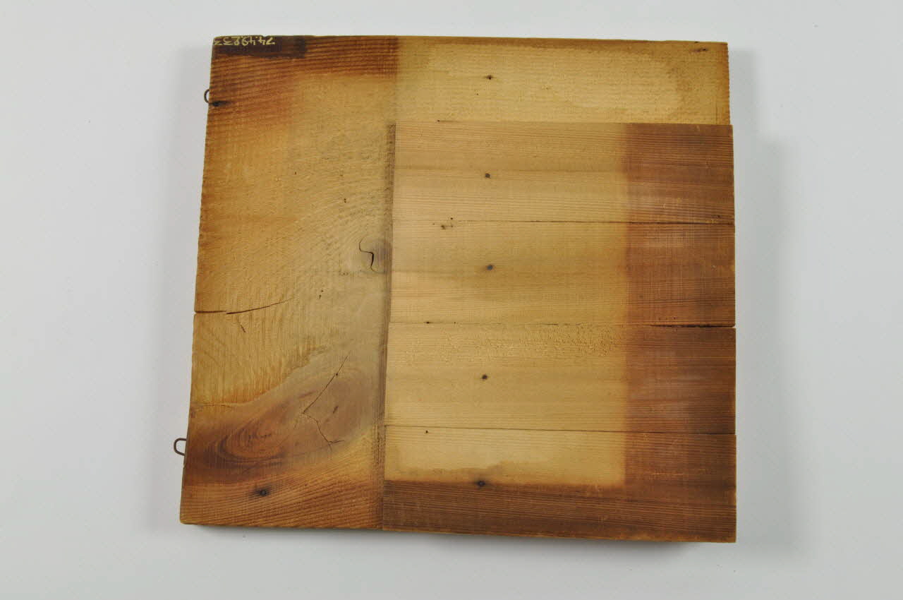 ASSEMBLAGE DE PLANCHETTES Lorraine, France 1878 1974.49.233 Photo Mucem