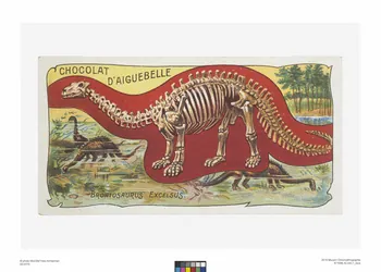 Edition de la Chocolaterie d'Aiguebelle carte réclame chromo Rhône-Alpes, France 1900-1919 1996.40.440.1 Photo