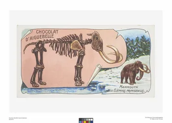 Edition de la Chocolaterie d'Aiguebelle carte réclame chromo Rhône-Alpes, France 1900-1919 1996.40.440.10 Photo
