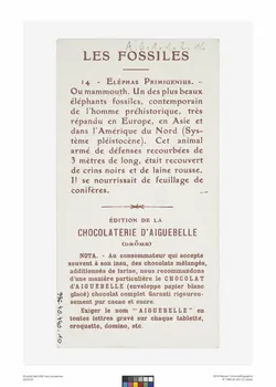 Edition de la Chocolaterie d'Aiguebelle carte réclame chromo Rhône-Alpes, France 1900-1919 1996.40.440.10 Photo