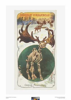 Edition de la Chocolaterie d'Aiguebelle carte réclame chromo Rhône-Alpes, France 1900-1919 1996.40.440.11 Photo