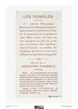 Edition de la Chocolaterie d'Aiguebelle carte réclame chromo Rhône-Alpes, France 1900-1919 1996.40.440.11 Photo