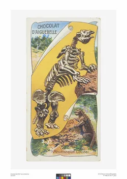 Edition de la Chocolaterie d'Aiguebelle carte réclame chromo Rhône-Alpes, France 1900-1919 1996.40.440.14 Photo