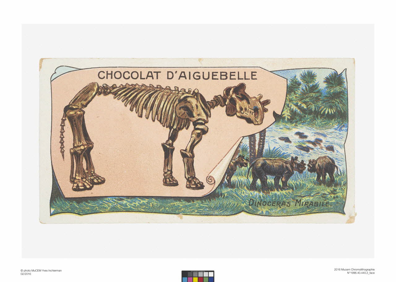 Edition de la Chocolaterie d'Aiguebelle carte réclame chromo Rhône-Alpes, France 1900-1919 1996.40.440.2 Photo