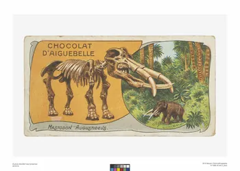 Edition de la Chocolaterie d'Aiguebelle carte réclame chromo Rhône-Alpes, France 1900-1919 1996.40.440.3 Photo