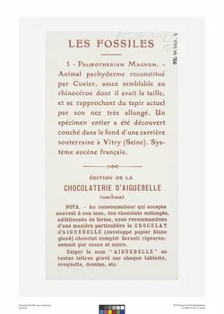 Edition de la Chocolaterie d'Aiguebelle carte réclame chromo Rhône-Alpes, France 1900-1919 1996.40.440.4 Photo