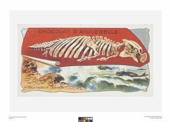 Edition de la Chocolaterie d'Aiguebelle carte réclame chromo Rhône-Alpes, France 1900-1919 1996.40.440.5 Photo
