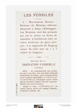 Edition de la Chocolaterie d'Aiguebelle carte réclame chromo Rhône-Alpes, France 1900-1919 1996.40.440.5 Photo