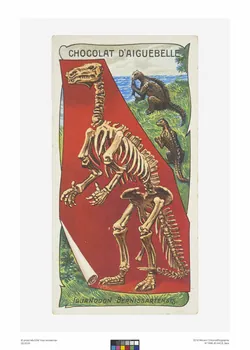 Edition de la Chocolaterie d'Aiguebelle carte réclame chromo Rhône-Alpes, France 1900-1919 1996.40.440.6 Photo
