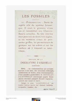 Edition de la Chocolaterie d'Aiguebelle carte réclame chromo Rhône-Alpes, France 1900-1919 1996.40.440.7 Photo