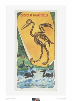 Edition de la Chocolaterie d'Aiguebelle carte réclame chromo Rhône-Alpes, France 1900-1919 1996.40.440.8 Photo