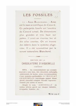 Edition de la Chocolaterie d'Aiguebelle carte réclame chromo Rhône-Alpes, France 1900-1919 1996.40.440.8 Photo