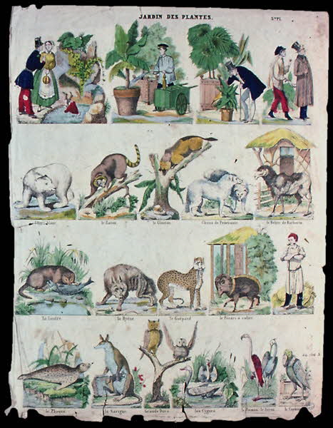 Dembour et Gangel à compartiments (20) JARDIN DES PLANTES. Metz 1840-1852 1946.106.3 Photo