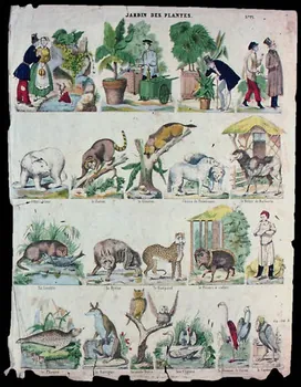 Dembour et Gangel à compartiments (20) JARDIN DES PLANTES. Metz 1840-1852 1946.106.3 Photo