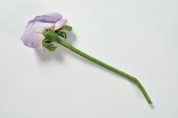 fleur artificielle 1972.150.937.170 Photo Mucem
