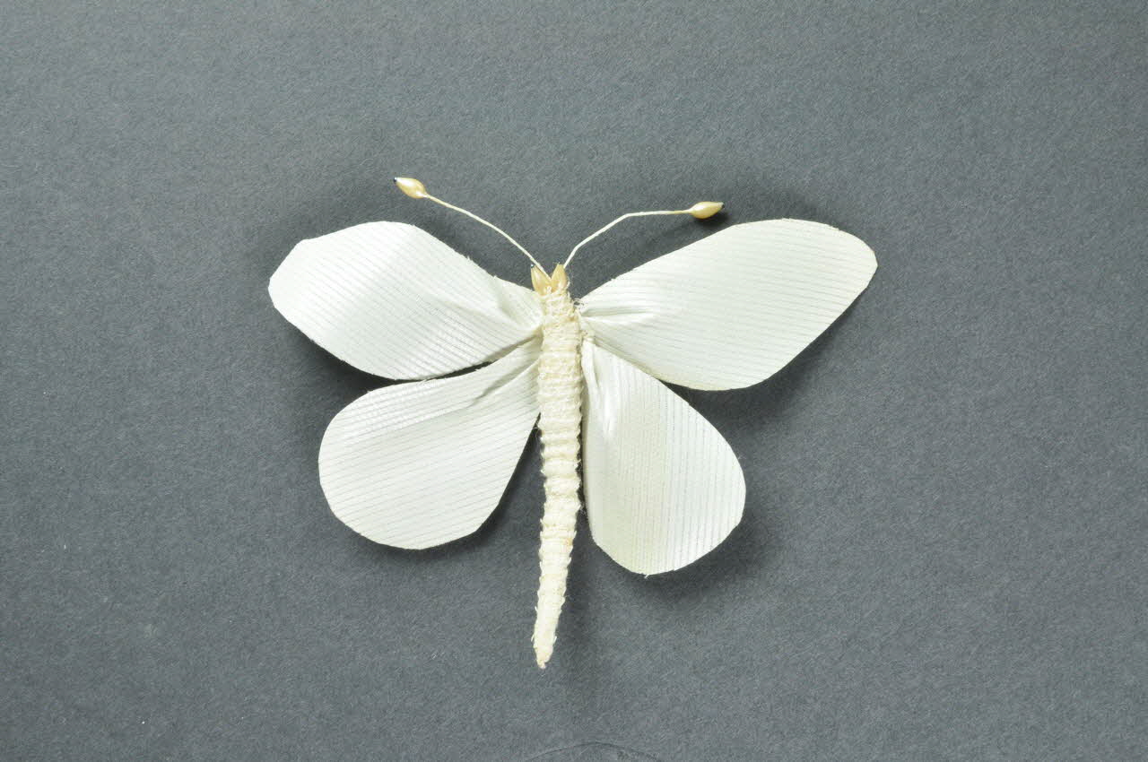 PAPILLON 1972.150.937.239 Photo Mucem