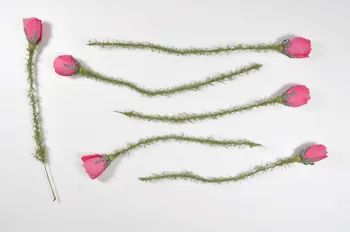 fleur artificielle 1972.150.945.539.1-6 Photo Mucem