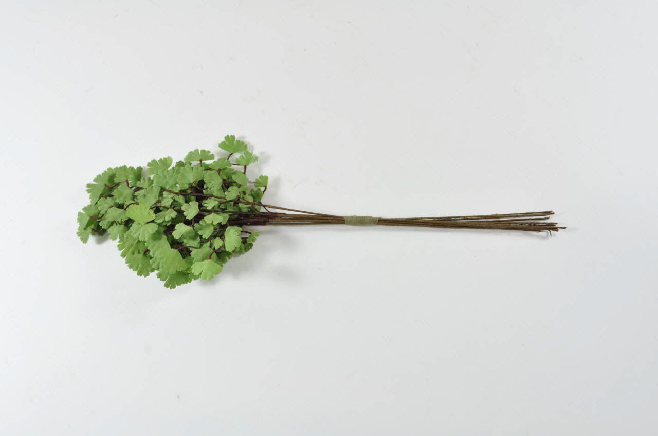 fleur artificielle 1972.150.945.62  Photo Mucem