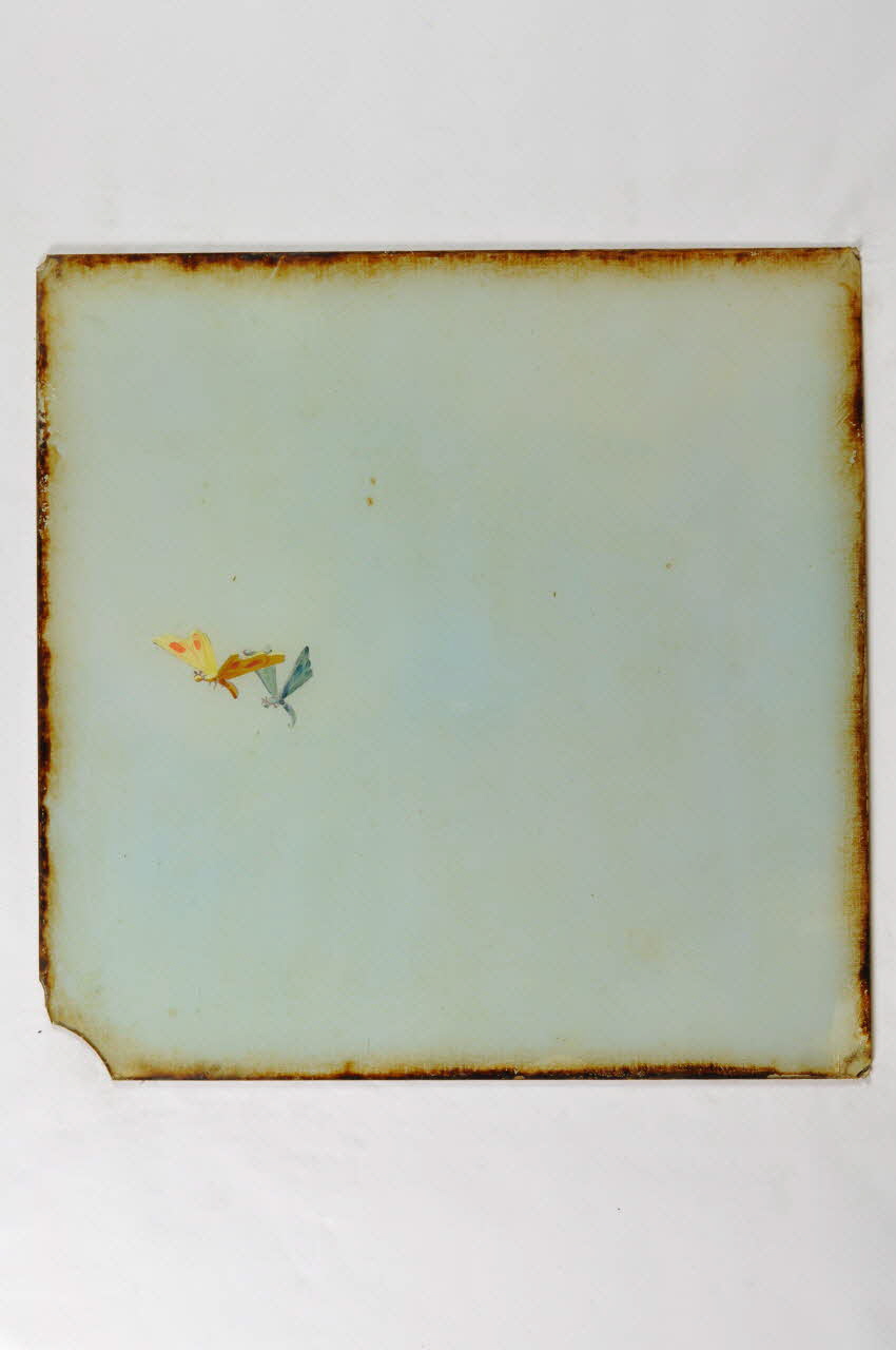 plafond de crèmerie 1972.34.1.37 Photo Mucem