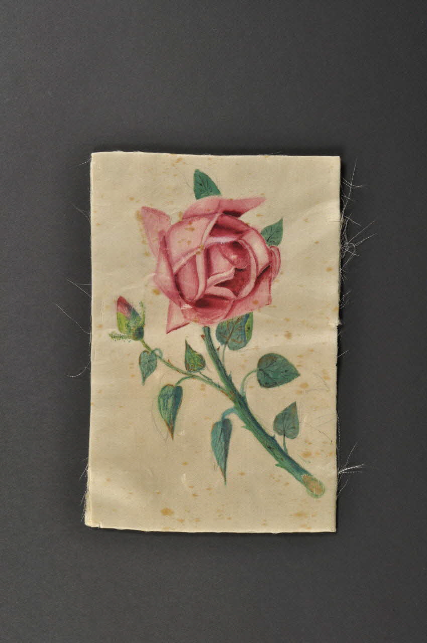 MOTIF DECORATIF 1977.59.5 Photo Mucem