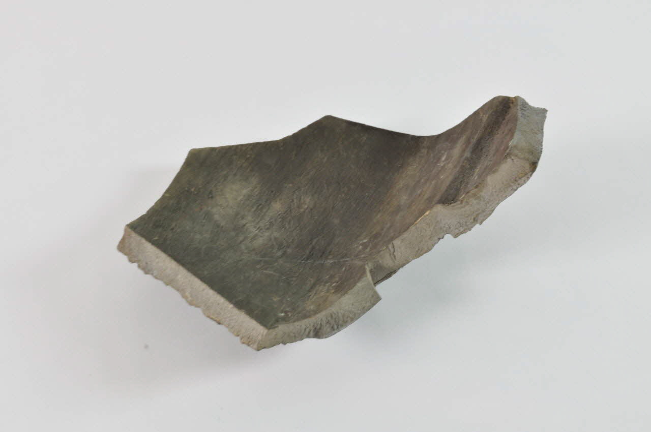 TESSON 1972.8.62 Photo Mucem