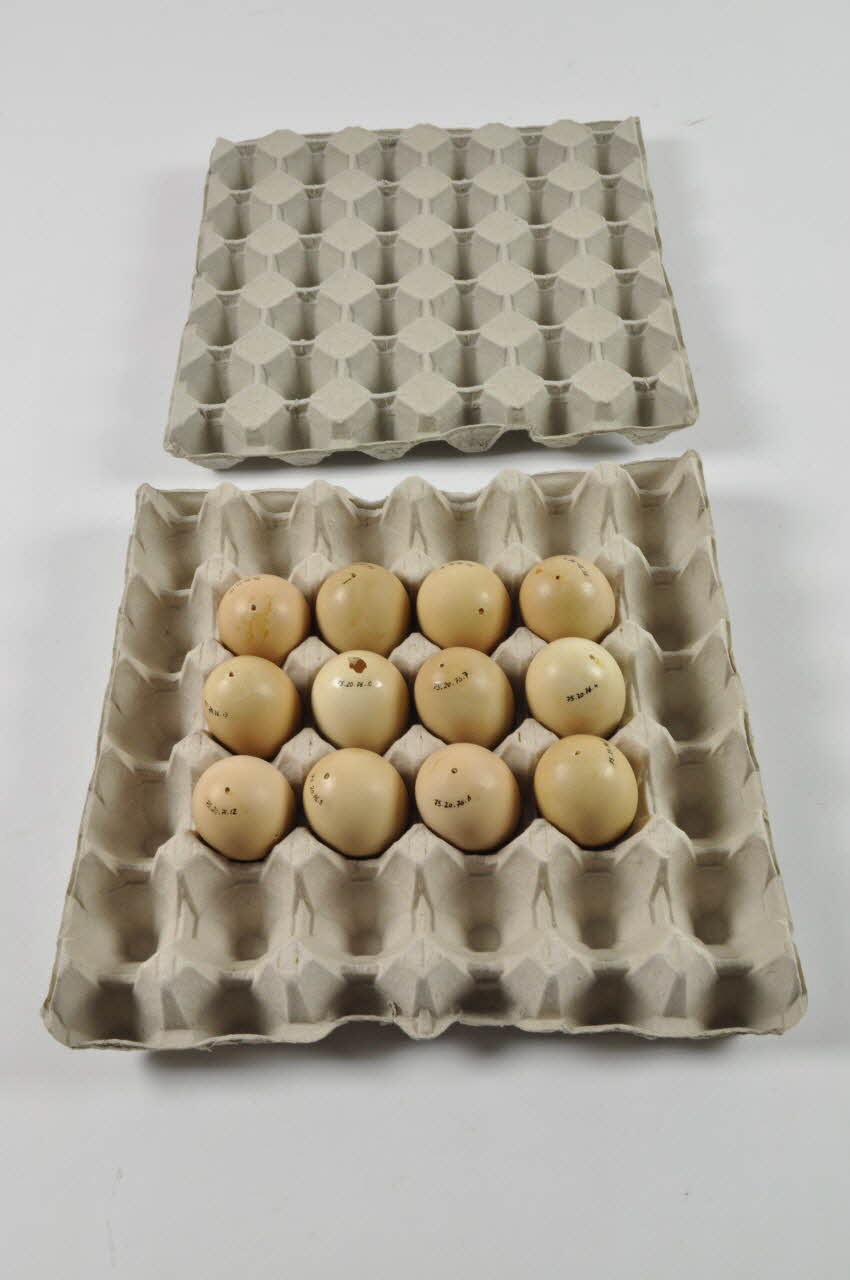 fac-similé 1975.20.76 1-14 Photo Mucem