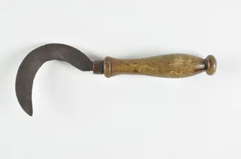 SERPE DE VIGNERON 1975.74.27 Photo Mucem