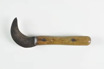 SERPE DE VIGNERON 1975.74.31 Photo Mucem