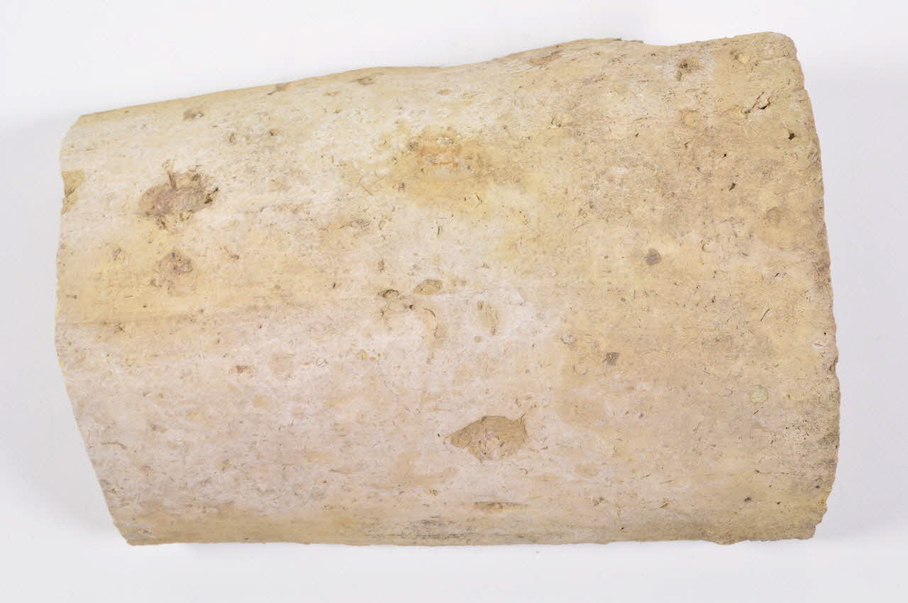 TESSON 1981.2.1.24.1 Photo Mucem