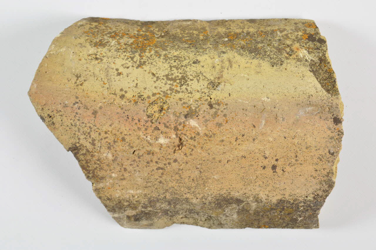 TESSON 1981.2.1.25 Photo Mucem