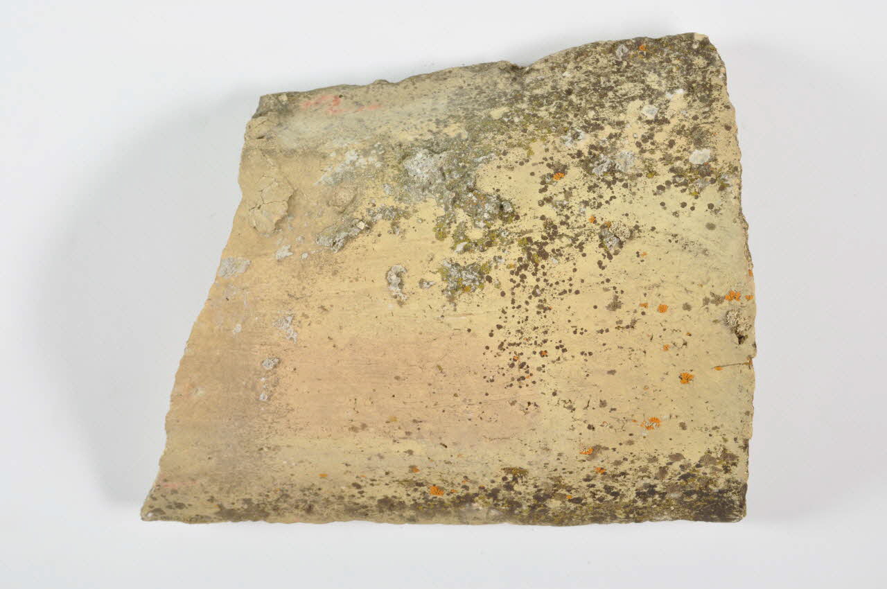 TESSON 1981.2.1.27 Photo Mucem