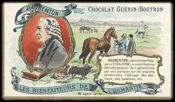 Testu & Massin carte réclame chromo Paris 1900-1903 1995.1.855.20 Photo