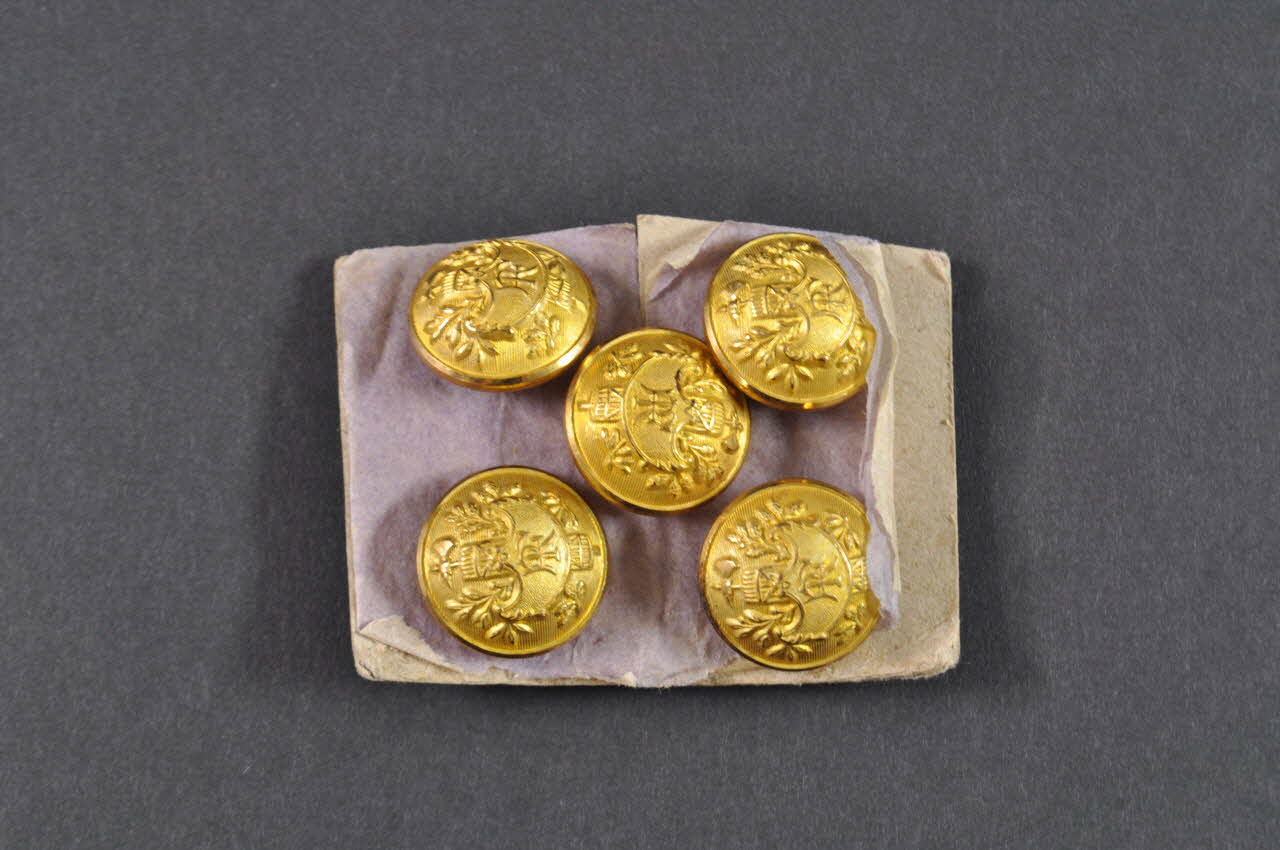 V Darvaux CARTON DE BOUTONS Tunisie 1919-1939 1981.28.1.7.1-6 Photo Mucem