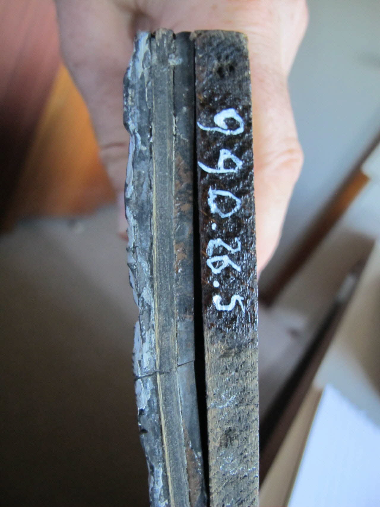 bois d'impression Convoi funèbre portant en terre les attributs du clergé et de la noblesse 1990.26.5 Photo Mucem/ Aubert Gérard